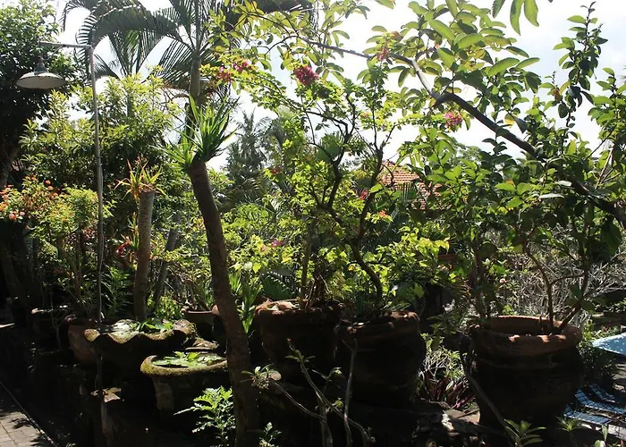 Raditia Homestay