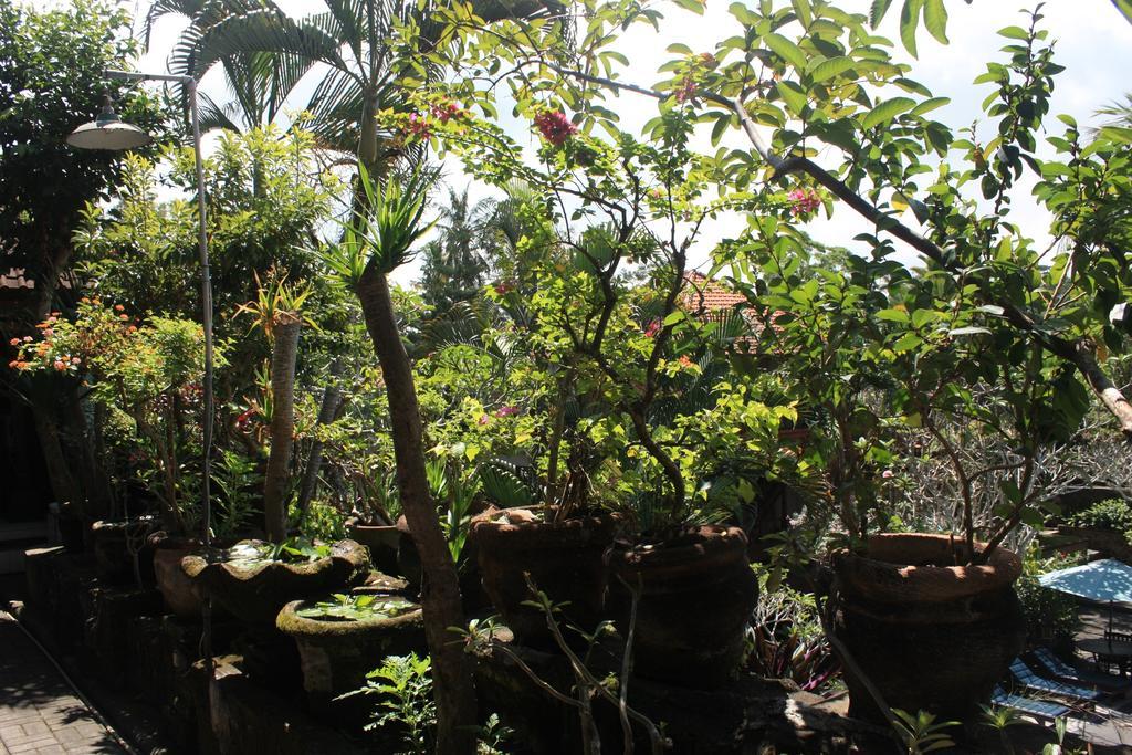 Privatunterkunft Raditia Ubud
